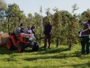 Obsthof am Schlossbruch - Bio Äpfel aus Alzenau