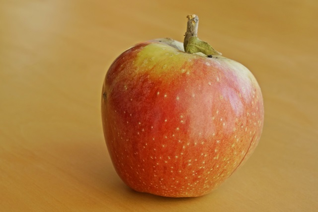 Bioapfel Defloki - Obsthof am Schlossbruch - Alzenau