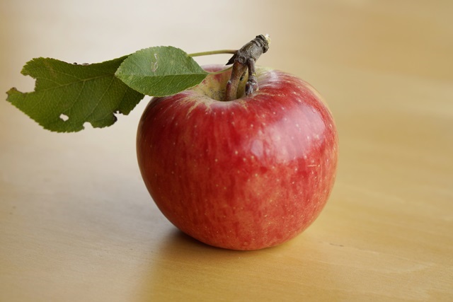 Bioapfel Topaz - Obsthof am Schlossbruch - Alzenau