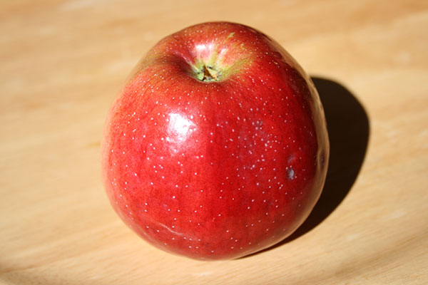 Bioapfel Florina - Obsthof am Schlossbruch - Alzenau