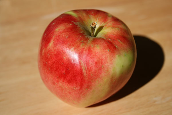 Bioapfel Rebella - Obsthof am Schlossbruch - Alzenau